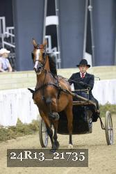 24R13_21735 thumbnail