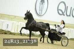 24R13_21738 thumbnail