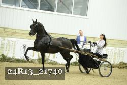24R13_21740 thumbnail