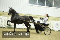 24R13_21741 thumbnail