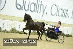 24R13_21742 thumbnail
