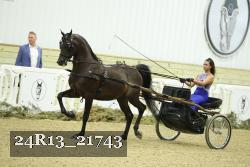 24R13_21743 thumbnail