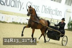 24R13_21744 thumbnail