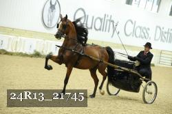 24R13_21745 thumbnail