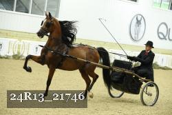 24R13_21746 thumbnail