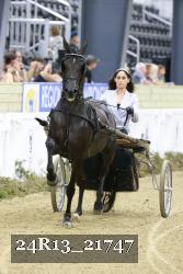 24R13_21747 thumbnail
