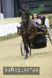 24R13_21749 thumbnail