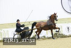 24R13_21752 thumbnail