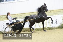 24R13_21753 thumbnail