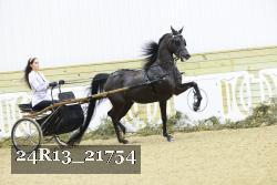 24R13_21754 thumbnail