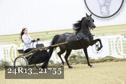 24R13_21755 thumbnail