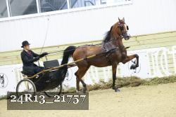 24R13_21757 thumbnail