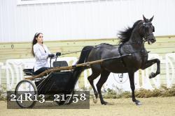24R13_21758 thumbnail