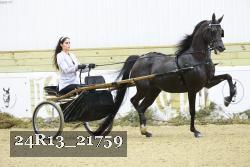 24R13_21759 thumbnail