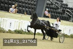 24R13_21762 thumbnail