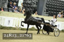 24R13_21763 thumbnail