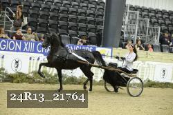 24R13_21764 thumbnail