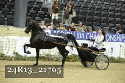24R13_21765 thumbnail