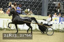 24R13_21766 thumbnail