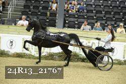 24R13_21767 thumbnail
