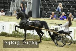 24R13_21769 thumbnail