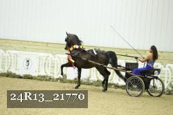 24R13_21770 thumbnail
