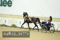 24R13_21771 thumbnail