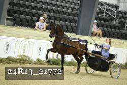 24R13_21772 thumbnail
