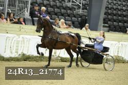 24R13_21774 thumbnail