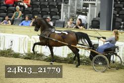 24R13_21779 thumbnail
