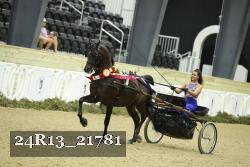 24R13_21781 thumbnail