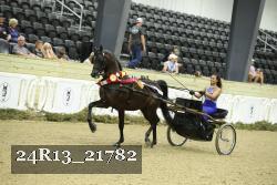 24R13_21782 thumbnail
