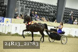 24R13_21783 thumbnail