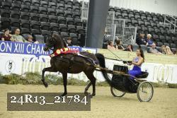 24R13_21784 thumbnail