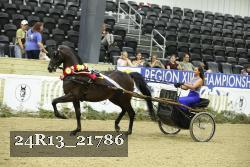 24R13_21786 thumbnail