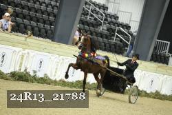 24R13_21788 thumbnail