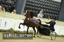 24R13_21790 thumbnail