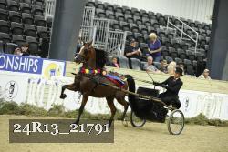 24R13_21791 thumbnail