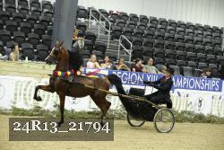 24R13_21794 thumbnail