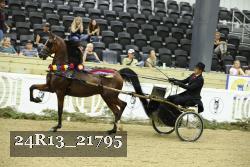 24R13_21795 thumbnail