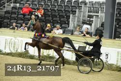 24R13_21797 thumbnail