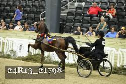 24R13_21798 thumbnail