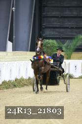 24R13_21803 thumbnail