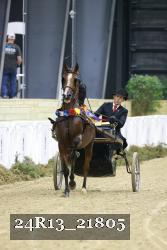 24R13_21805 thumbnail