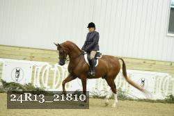 24R13_21810 thumbnail