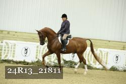 24R13_21811 thumbnail