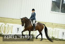 24R13_21822 thumbnail