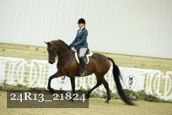24R13_21824 thumbnail