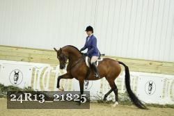 24R13_21825 thumbnail