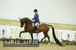 24R13_21826 thumbnail